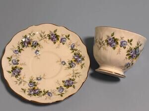 Aynsley Bone China Marine Rose #2872 Cup and Saucer White Blue Floral